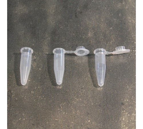 Микропробирка 1,5 мл (тип Eppendorf), б/ дел, б/пробк., п/п Aptaca,уп.1000 шт Микропробирка 1,5 мл (тип Eppendorf), б/ дел, б/пробк., п/п Aptaca,уп.1000 шт
