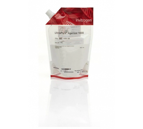 Агароза-1000, UltraPure, Thermo FS Агароза-1000, UltraPure, Thermo FS