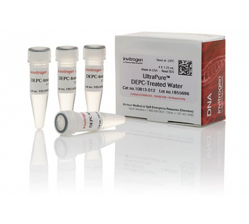 Вода UltraPure DEPC-treated Water, Thermo FS Вода UltraPure DEPC-treated Water, Thermo FS