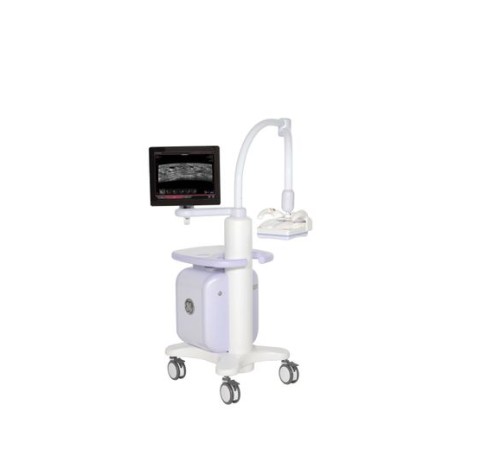 GE Healthcare Invenia Abus GE Healthcare Invenia Abus
