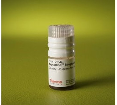 Магнитные частицы, d 1-4 мкм, 5 мл, стрептавидин, MagnaBind, Thermo FS Магнитные частицы, d 1-4 мкм, 5 мл, стрептавидин, MagnaBind, Thermo FS