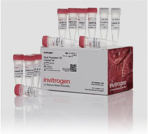 Набор для клонирования TA Cloning Kit, Dual Promoter, with pCR II Vector, компетентные клетки не включены, Thermo FS Набор для клонирования TA Cloning Kit, Dual Promoter, with pCR II Vector, компетентные клетки не включены, Thermo FS