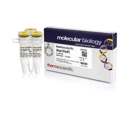 Эндонуклеаза рестрикции MspI (HpaII), 10 е.а./мкл, Fermentas, Thermo FS Эндонуклеаза рестрикции MspI (HpaII), 10 е.а./мкл, Fermentas, Thermo FS