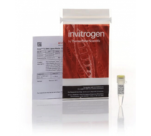 Мастер-микс Anza T4 DNA Ligase Master Mix, Thermo FS Мастер-микс Anza T4 DNA Ligase Master Mix, Thermo FS