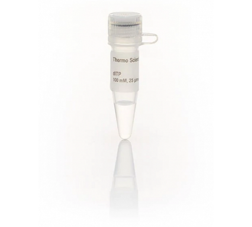 Раствор dITP Solution, 100 мМ, Thermo FS Раствор dITP Solution, 100 мМ, Thermo FS