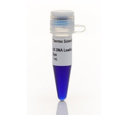 Краситель для нанесения на гель RNA Gel Loading Dye, 2Х, Thermo FS Краситель для нанесения на гель RNA Gel Loading Dye, 2Х, Thermo FS