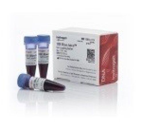 Буфер загрузочный BlueJuice Gel Loading Buffer, 10X, Thermo FS Буфер загрузочный BlueJuice Gel Loading Buffer, 10X, Thermo FS