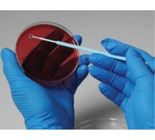 Bacteroides fragilis, штамм ATCC 23745, 5 петель, Thermo FS Bacteroides fragilis, штамм ATCC 23745, 5 петель, Thermo FS