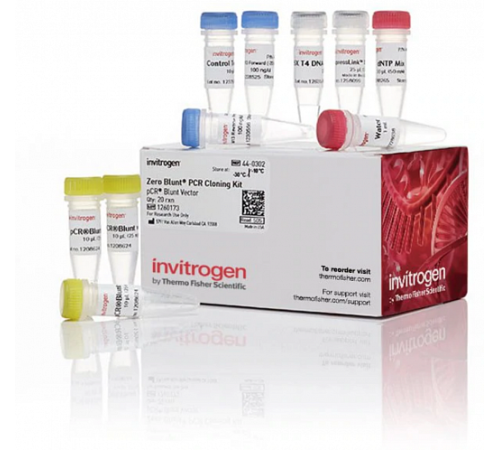 Набор для клонирования Zero Blunt PCR Cloning Kit, компетентные клетки не включены, Thermo FS Набор для клонирования Zero Blunt PCR Cloning Kit, компетентные клетки не включены, Thermo FS