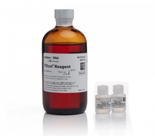Набор TRIzol Max Bacterial RNA Isolation Kit, Thermo FS Набор TRIzol Max Bacterial RNA Isolation Kit, Thermo FS