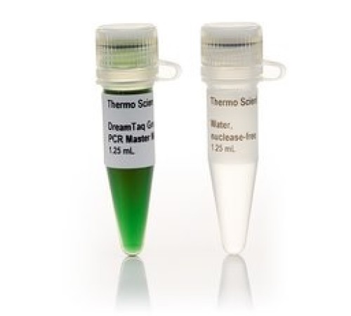 Мастер-микс для ПЦР с ДНК-полимеразой DreamTaq Green, Thermo FS Мастер-микс для ПЦР с ДНК-полимеразой DreamTaq Green, Thermo FS