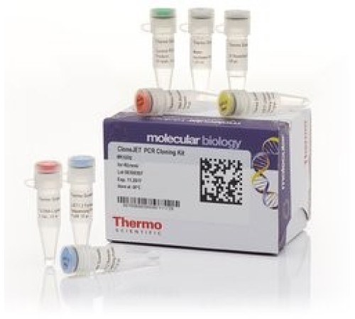 Набор для клонирования ПЦР-фрагментов CloneJet, Thermo FS Набор для клонирования ПЦР-фрагментов CloneJet, Thermo FS