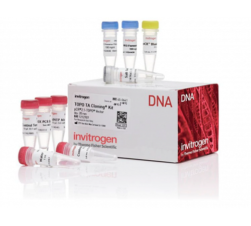 Набор для клонирования TOPO TA Cloning Kit for Subcloning, компетентные клетки не включены, Thermo FS Набор для клонирования TOPO TA Cloning Kit for Subcloning, компетентные клетки не включены, Thermo FS
