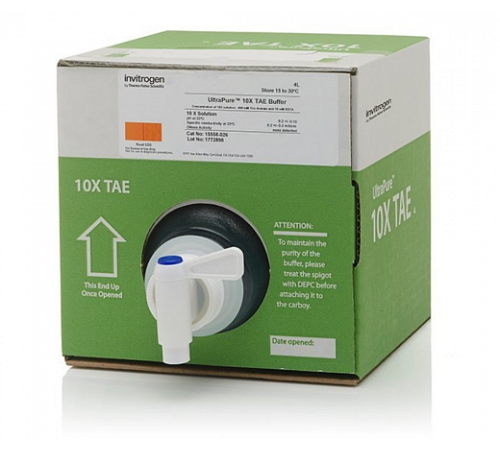 Буфер TAE (Трис-ацетат-ЭДТА), UltraPure, 10Х, Thermo FS Буфер TAE (Трис-ацетат-ЭДТА), UltraPure, 10Х, Thermo FS