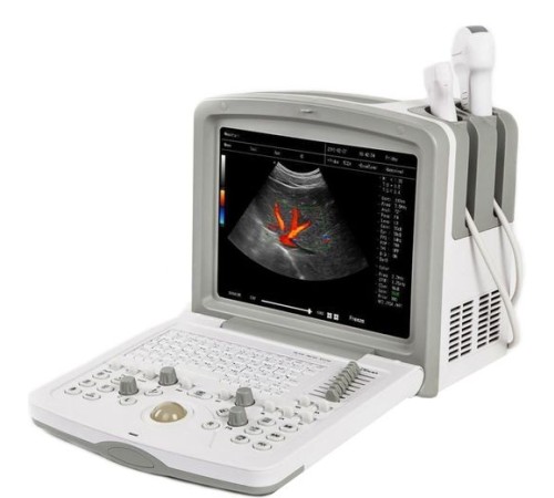 Acuvista RS880d 12" Acuvista RS880d 12"