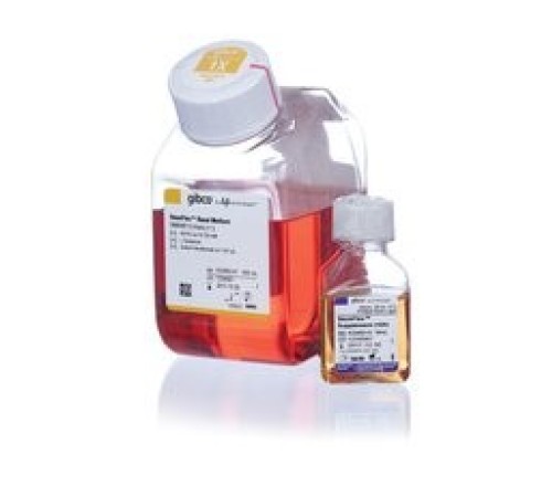 Среда StemPro MSC SFM XenoFree, бессывороточная, для культивирования мезенхимальных стволовых клеток, Thermo FS Среда StemPro MSC SFM XenoFree, бессывороточная, для культивирования мезенхимальных стволовых клеток, Thermo FS