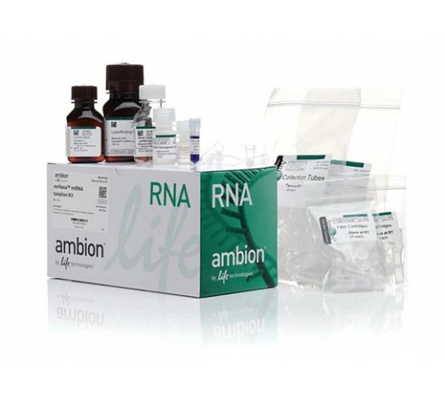 Набор mirVana miRNA Isolation Kit, with phenol, Thermo FS Набор mirVana miRNA Isolation Kit, with phenol, Thermo FS