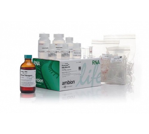Набор TRIzol Plus RNA Purification для выделения РНК из различных биологических образцов, Thermo FS Набор TRIzol Plus RNA Purification для выделения РНК из различных биологических образцов, Thermo FS