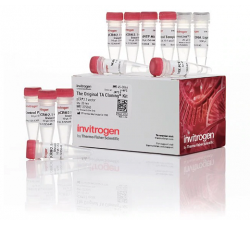 Набор для клонирования TA Cloning Kit, with pCR 2.1 Vector, компетентные клетки не включены, Thermo FS Набор для клонирования TA Cloning Kit, with pCR 2.1 Vector, компетентные клетки не включены, Thermo FS