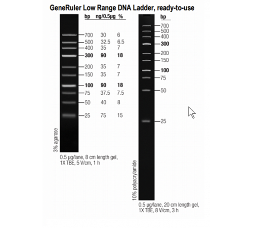 Маркер длин ДНК GeneRuler Low Range, 10 фрагментов от 25 до 700 п.н., готовый к применению, 0,1 мкг/мкл, Thermo FS Маркер длин ДНК GeneRuler Low Range, 10 фрагментов от 25 до 700 п.н., готовый к применению, 0,1 мкг/мкл, Thermo FS