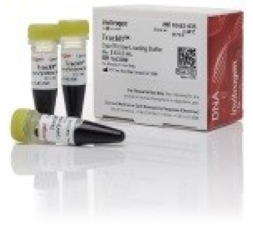 Краситель для нанесения на гель TrackIt Cyan/Yellow Loading Buffer, 6X, Thermo FS Краситель для нанесения на гель TrackIt Cyan/Yellow Loading Buffer, 6X, Thermo FS