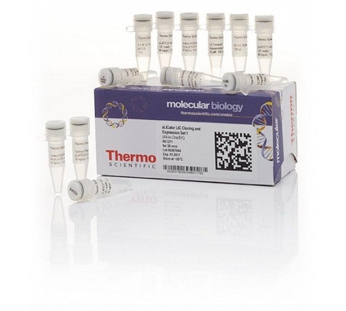 Набор для безлигазного клонирования aLICator LIC Cloning and Expression Set 1, Thermo FS Набор для безлигазного клонирования aLICator LIC Cloning and Expression Set 1, Thermo FS