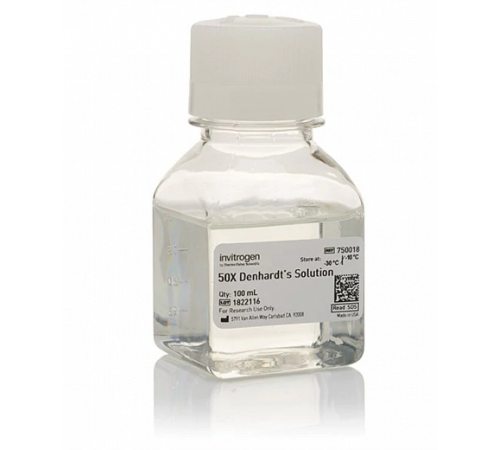 Раствор Денхардта/Denhardt's Solution, 50X, Thermo FS Раствор Денхардта/Denhardt's Solution, 50X, Thermo FS