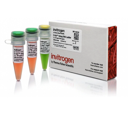 Маркер длин ДНК, E-Gel Sizing, от 50 п.н. до 1500 п.н., Thermo FS Маркер длин ДНК, E-Gel Sizing, от 50 п.н. до 1500 п.н., Thermo FS